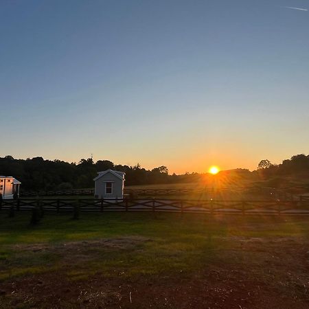 Strawberry Plains Luxury Riverfront Tiny House- Amazing Views- #111 מראה חיצוני תמונה