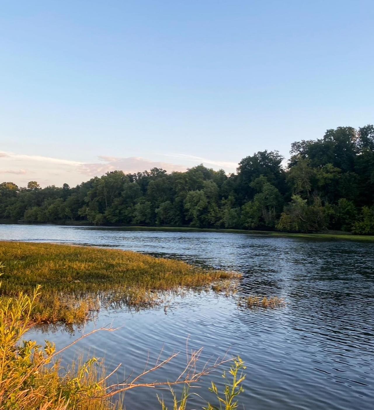 Strawberry Plains Luxury Riverfront Tiny House- Amazing Views- #111 מראה חיצוני תמונה