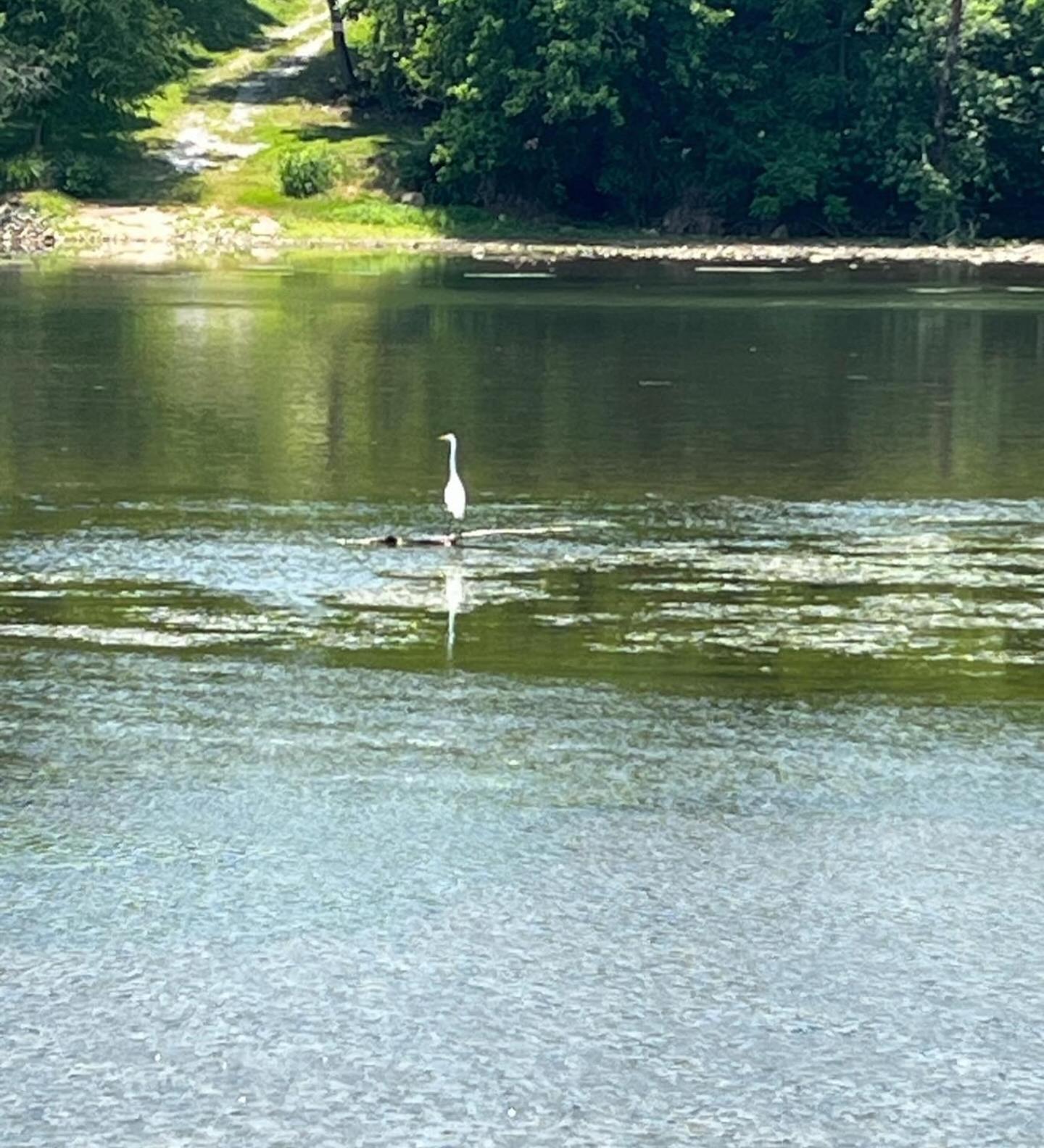 Strawberry Plains Luxury Riverfront Tiny House- Amazing Views- #111 מראה חיצוני תמונה