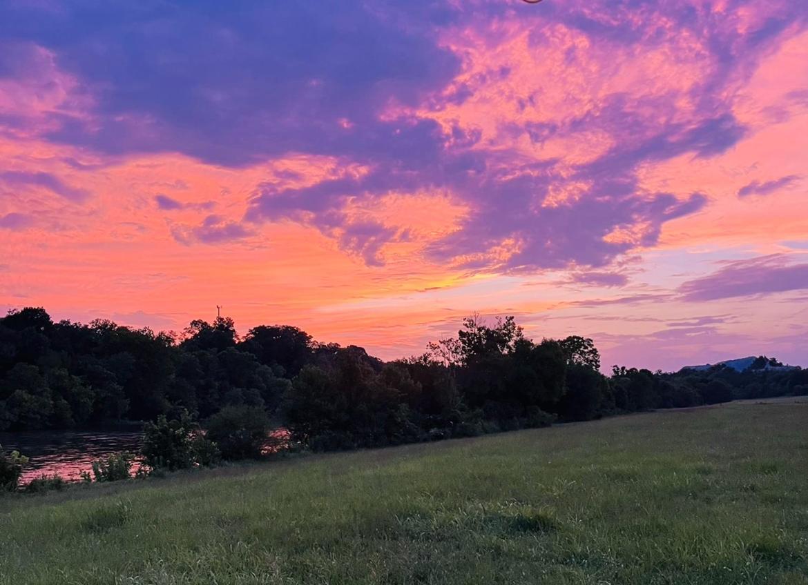 Strawberry Plains Luxury Riverfront Tiny House- Amazing Views- #111 מראה חיצוני תמונה